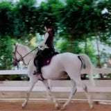 8c9a03128370cc9b316f7036411a703b