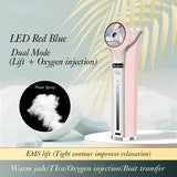 Rf&EMS Face Masser Lifting Beauty Led Facial Neck Beauty Instrument Photon Therapy Heating Wrinkle Removal Facial Machine Spa