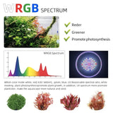 WEEK AQUA T70 RGB 70W Button Edition High Power Moonlight Led Aquarium Light Full Spectrum Freshwater Aquatic Plants 2nd Stand