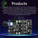 DC 12V-24V TPA3118 XH-A238 100W/60W Mono Digital Audio Power Amplifier Board Amp Module