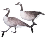 86c0aad5570c28e028e4be711f87bbe8