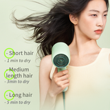 RH1 1600W High-Power Ion Hair Dryer Salon Electric Mini Hair Dryer for Home Appliance Personal Styling Tools Professional