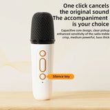 Y6 Wireless Dual Microphones Karaoke hine KTV DSP System Bluetooth 5.3 PA Speaker HIFI Stereo Surround RGB LED Light