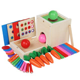 6-In-1 Wooden Montessori Kit Object Permanence Play Set With Coin Box Carrot Harvest Shape Sorter Ball Drop Toy Durable