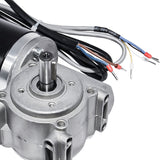 DC 24V 60W 60w/100w High Torque Worm Gear Motor Intelligent Encoder Electric Door Motor for Hotels Automatic Door 220/250RPM