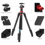 Camera Tripod&amp;Pan Head Travel Camera Tripod with Monopod 360 Degree Low Profile Ball Head for DSLR Cameras Cell Phones