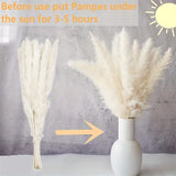 100 Bohemian hay, paired with natural sage and brown reed flowers