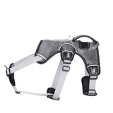 Medium sized large dog pet chest strap