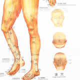 Acupuncture Point Wall Chart Book Comprehensive Content Record Details Universal Male Acupuncture Instructions d