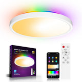 LED Ceiling Light 30W 2700LM Round Flat Panel - WiFi & BT RGBIC/CCT/RGB, 2700K - 6500K Dimmable Color Changing Light