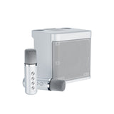 Karaoke Machine, Portable Bluetooth PA System With 2 Wireless Microphones, Family Gathering, Meeting, Picnic