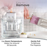 Stainless Steel Molds Rust-Resistant Popsicle Maker Set Popcical Mold With Tray- Cleaning Brush