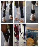 Built in battery equine hood wrap led boots infrared light therapy pads for horse hoof