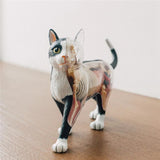 Animal Organ 4D Intelligence Assembling Toy Teaching Anatomy Model DIY Appliances