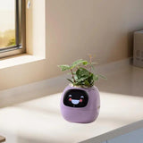 Pet Planter Robot Pots - Small Plant Pot Holiday Gift, Smart Pots for Desktop Ornament, Indoor and Outdoor