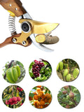 Shears Plant Trim Horticulture Hand Pruner Shrub Garden Scissor Orchard Branch Shear Professional Pruning Tool