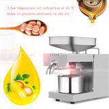 110V/220V Automatic Commercial Rapeseed Peanut 610W STB-508 Hot And Cold Small Stainless Steel Oil Press