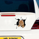 Cars 3D Stickers Cat Cracking Sticker Waterproof Creative Car Door Cg For Window Bumper