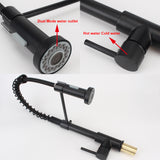 360 Degree Rotation Kitchen Faucet Spring Style with Spray Mixers Taps Deck Mounted Mixer Tap Matte Black Kitchen Sink