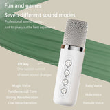 20W Bass Sound KTV Portable Dual Handheld Wireless Microphone System, 5.0 Bluetooth, For Family Karaoke, Parties And Church