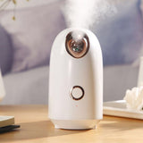 Multifunctional Beauty Instrument Face Vaporizer Nano Spray Hydrator Portable Facial Home Rejuvenation Anti-wrinkle Humidifier