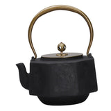Cast Iron Teapot Loose Leaf Pot Stovetop Safe Ceremony Kettle For Kitchen Household Hotel Room Tea Lovers Gift