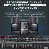 Pre Reverb Effector, Digital Audio Processor, Professional Microphone, Anti Screaming Reverber, Mixer, Intellig
