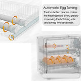 24-Egg Full Automatic Touch Temperature Control Incubator - Ideal for Chicken, Duck, Quail & Bird Hatchery