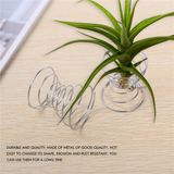 6 Pieces Stand Airplant Container Tillandsia Holder Stainless Steel Plant Display Racks Air Base