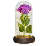 Eternal Rose Flower In Glass Dome With LED Light Wooden Base Valentine Christmas Gifts For Women