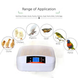 56 Eggs Brooder Digital Fully Automatic Egg Incubator with light Poultry Chicken Duck Temp and Humidity Controller