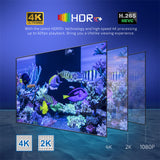 TV98 Android 12.1 TV Allwinner H313 Quad Core 2GB 16GB 2.4G 5.8G Dual WIFI UHD AV1 4K Youtube Media Player Set Top Box