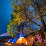 Usb Portable Led Bulb With 2.5m On/off Switch Cable For Indoor Outdoor Camping