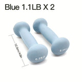 1pair High-density Solid Iron Dumbbell For Women & Men, Home & Outdoor Strength Training Device