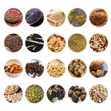 110V/220V Automatic Commercial Rapeseed Peanut 610W STB-508 Hot And Cold Small Stainless Steel Oil Press