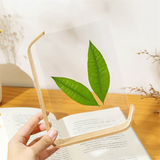 Acrylic Wood Herbarium Nordic Picture Frame for Wedding Photocard Display Stand Table Deco B