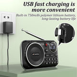 Mini FM Radio Bluetooth Speaker Portable Radio for The Elderly HiFi TF/USB MP3 Music Player Support Recordin Headphones Play