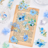 Long Lasting Bright Color Wide Application Durable PET Sticker wer Pattern DIY Scrapbooking Decal