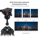 Andoer D1801 Professional Photography Tripod Stand 3-Section Extendable Max. Height 180cm 10kg Load for DSLR Cameras Camcorders