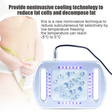 Hot Sale Cryotech Cold Freeze Fat Body Slim Sculpting Home Use Coolsculpting Fat Freezing Machine Cryolipolysis