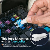 168Pcs Fuses Assortment Kit  (2A-40A) ,114 Mini Blade Fuses + 54 Standard Fuses for RV/Truck/Motorcycle/Boat