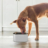 Automatic Cat Water Dispenser Low Noise Pet Water Dispenser 3 Layers Filtration Dog Water Fountain 3L Cat Drinking Fountains