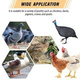 Automatic Gravity Chicken Duck Feeder Kit Rainproof Poultry Feeder For Feed Buckets Barrels Drums Troughs Reduce Spillage Mess