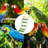 Bird Wooden Ladder Toy Bird Stand Toy Wood Ladder For Parakeets Bird Exercise Toy Play Ladder For Parakeets Cockatiels Conures