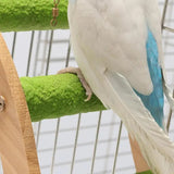 Bird Wooden Ladder Toy Bird Stand Toy Wood Ladder For Parakeets Bird Exercise Toy Play Ladder For Parakeets Cockatiels Conures