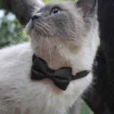 Bow Tie Collar For Dogs Comfortable Cat Adjustable Collar With Bow Dogs Apparel Accessories Lovely Collars For Home Wedding