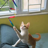 Cat Toys Kitten Toys Assortments Variety Catnip Toys With Rainbow Tunnel Catnip Fish Fluffy Balls Toy For Cat Puppy Kitten Pets