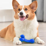 Durable Dog Chew Toys Natural Non-Toxic Anti-bite Puppy Spiky Bone Toy For Small Medium Large Dogs Pet Chew Bone Toy Stick