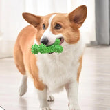 Durable Dog Chew Toys Natural Non-Toxic Anti-bite Puppy Spiky Bone Toy For Small Medium Large Dogs Pet Chew Bone Toy Stick