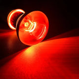 E27 Amphibian Bird Snake Reptile Heat Lizards Turtles Snakes Lamp Small Animal Heating Package 6075100w 220240 Glass